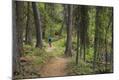 Photographic Print