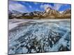 Photographic Print