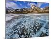 Premium Photographic Print