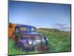 Photographic Print