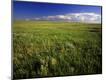 Photographic Print