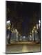 Photographic Print