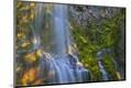 Premium Photographic Print