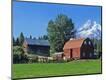 Photographic Print