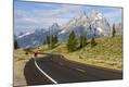 Premium Photographic Print