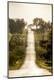 Photographic Print