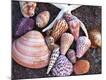 Premium Photographic Print