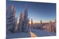 Premium Photographic Print