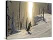 Stretched Canvas Print