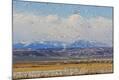 Photographic Print
