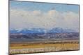 Photographic Print