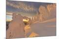 Photographic Print