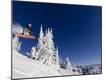 Premium Photographic Print