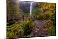 Photographic Print