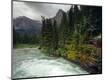Photographic Print