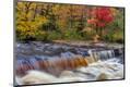 Premium Photographic Print