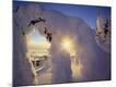 Premium Photographic Print