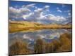 Photographic Print