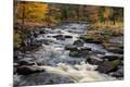 Premium Photographic Print
