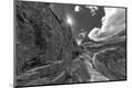 Photographic Print