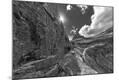 Photographic Print