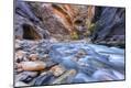 Photographic Print