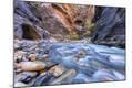 Photographic Print
