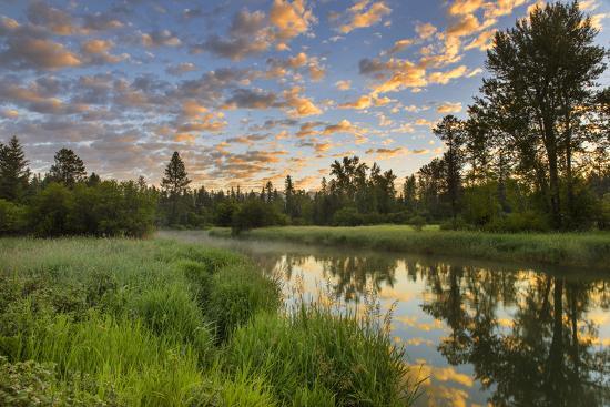 Whitefish River