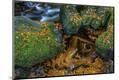 Photographic Print