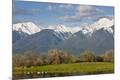 Premium Photographic Print