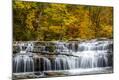 Photographic Print