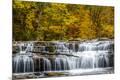 Photographic Print