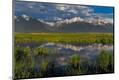 Premium Photographic Print