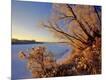 Photographic Print