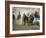 Chuck Wagon Race, Calgary Stampede, Alberta, Canada-Paolo Koch-Framed Photographic Print