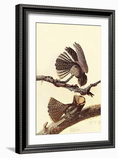 Chuck-Wills Willow-John James Audubon-Framed Art Print