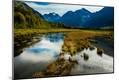 Photographic Print