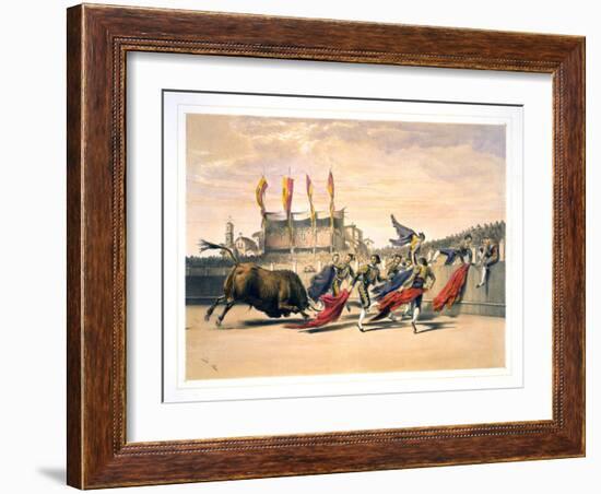 Chulos Playing the Bull-null-Framed Giclee Print