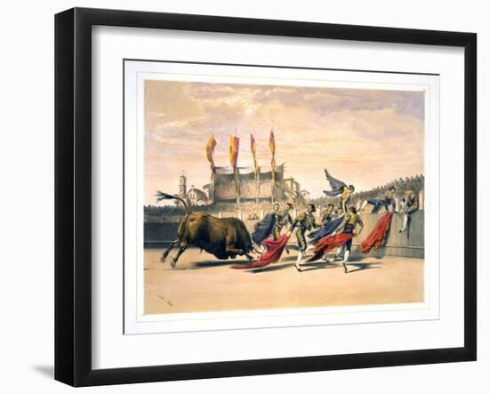Chulos Playing the Bull-null-Framed Giclee Print