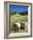 Church and Hay Bales, Vigo di Fassa, Fassa Valley, Trentino-Alto Adige/South Tyrol, Italy-Frank Fell-Framed Photographic Print