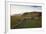 Church and Small Group of Houses Near Vik, Iceland-Peter Adams-Framed Photographic Print