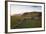 Church and Small Group of Houses Near Vik, Iceland-Peter Adams-Framed Photographic Print