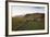 Church and Small Group of Houses Near Vik, Iceland-Peter Adams-Framed Photographic Print