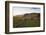 Church and Small Group of Houses Near Vik, Iceland-Peter Adams-Framed Photographic Print