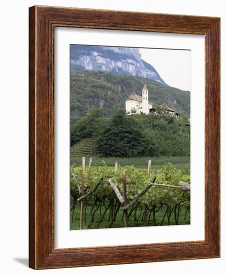 Church and Vines at Missiano, Caldero Wine District, Bolzano, Alto Adige, Italy-Michael Newton-Framed Photographic Print