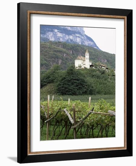 Church and Vines at Missiano, Caldero Wine District, Bolzano, Alto Adige, Italy-Michael Newton-Framed Photographic Print