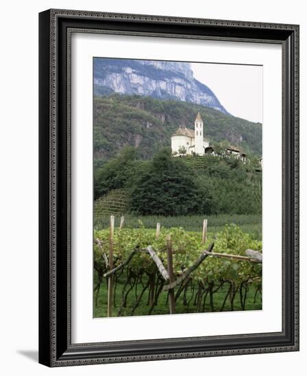 Church and Vines at Missiano, Caldero Wine District, Bolzano, Alto Adige, Italy-Michael Newton-Framed Photographic Print