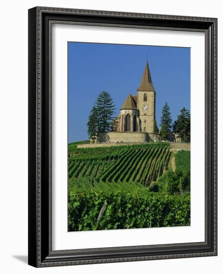 Church and Vineyards, Hunawihr, Alsace, France, Europe-John Miller-Framed Photographic Print