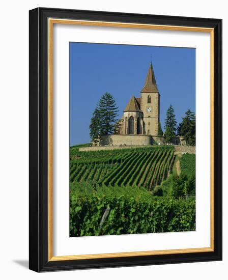 Church and Vineyards, Hunawihr, Alsace, France, Europe-John Miller-Framed Photographic Print