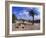 Church Courtyard, Arta, Mallorca, Spain-Hans Peter Merten-Framed Photographic Print